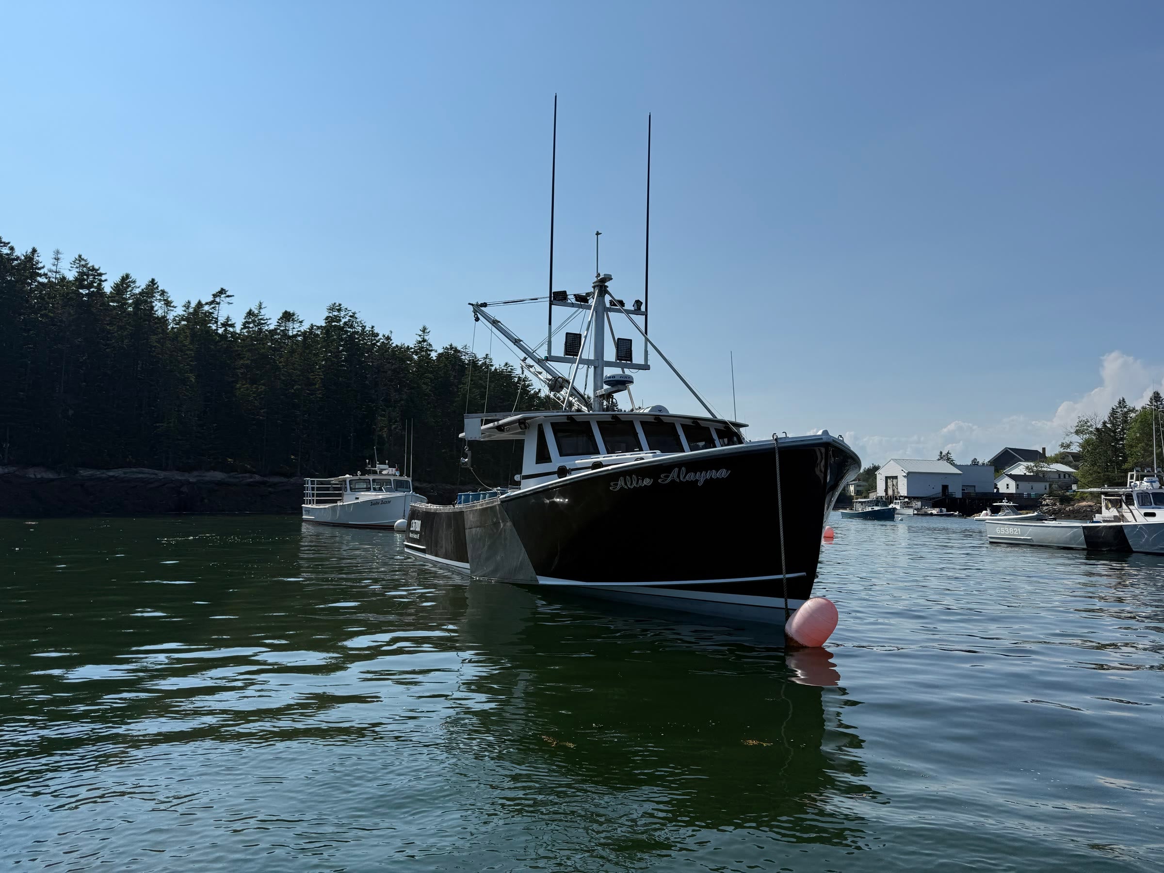 The Allie Alayna at her mooring in Winter Harbor, name lettered on the black bow